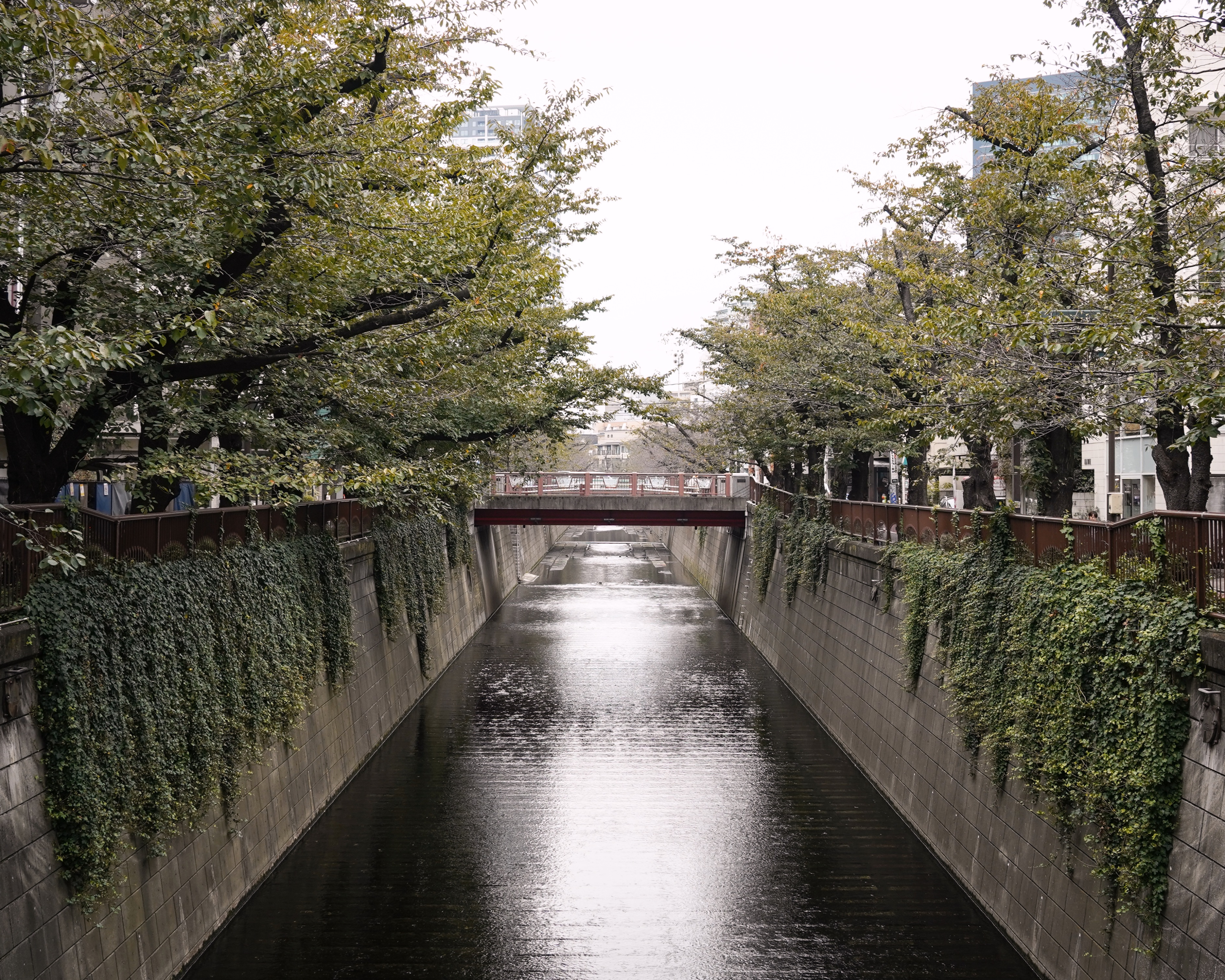 The Quiet Soul of Meguro